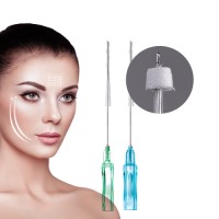 customize face lifting 10 lines 20 lines pcl multi thread